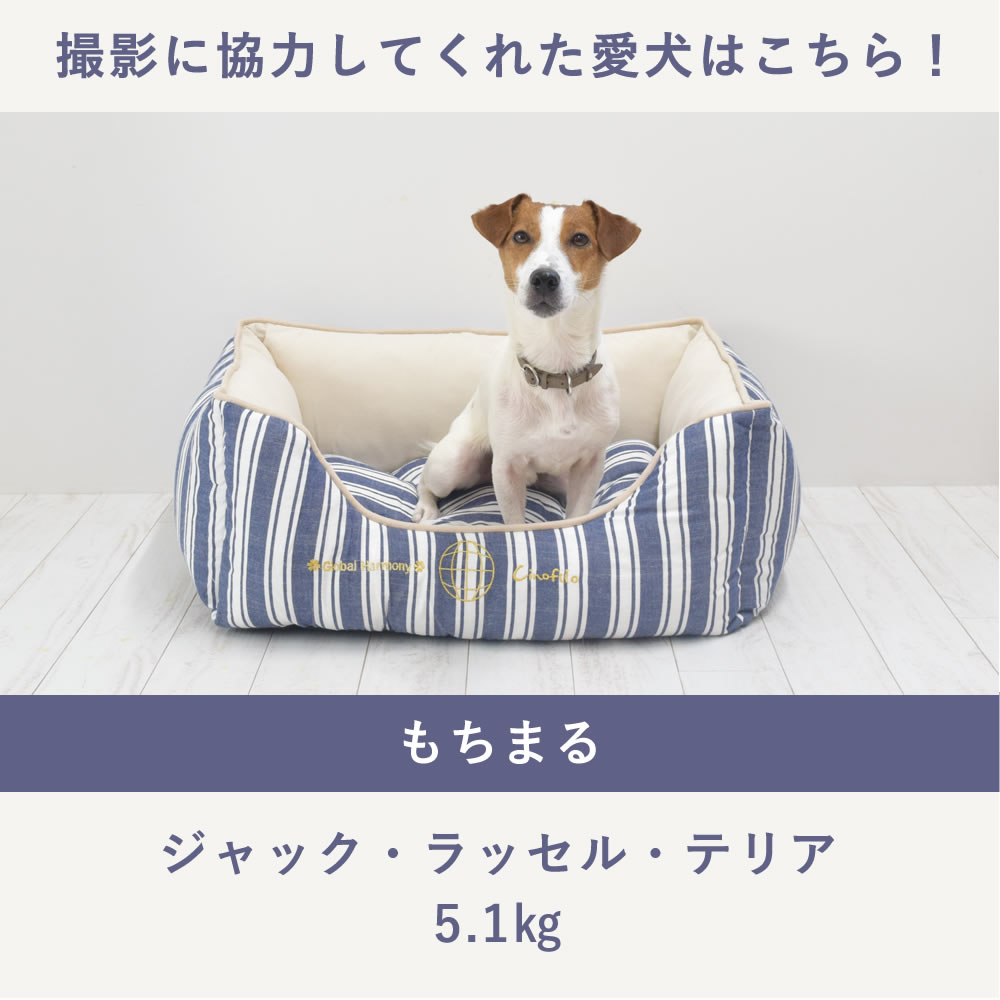 愛 犬用ベッド COOLストライプスクエアベッド M/Lサイズ ブラウン