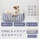 �� ���ѥ٥å� COOL���ȥ饤�ץ��������٥å� M/L������ �ͥ��ӡ� �ڥ��Υե����۽ղ���