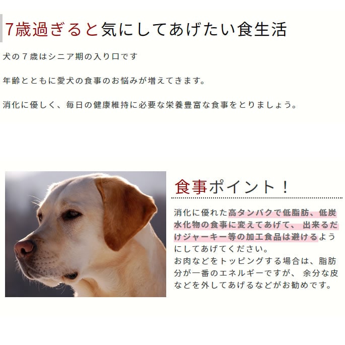 Ϸ���ץ�ߥ��ॻ�åȡ�a0367��