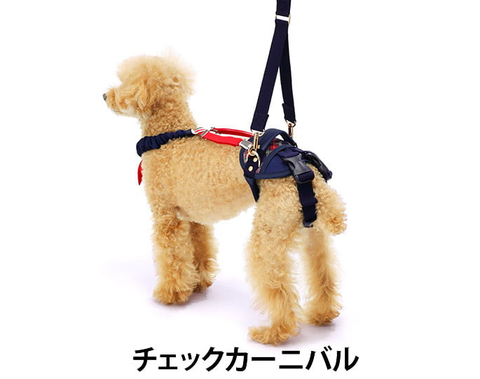 ϡͥ LaLaWalkۡɡ­ݡ