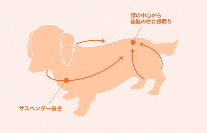 ϡͥ LaLaWalkۡɡ­ݡ