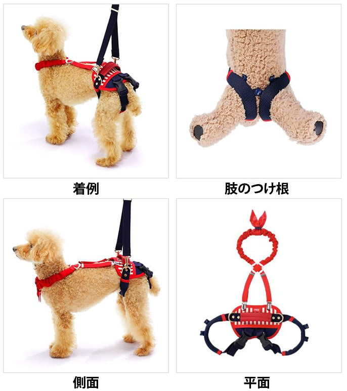 犬と月　ボディボード 2枚セット　大阪手渡し可能！ 犬と月 ボディボード 2枚セット 大阪手渡し可能！ ボディボード