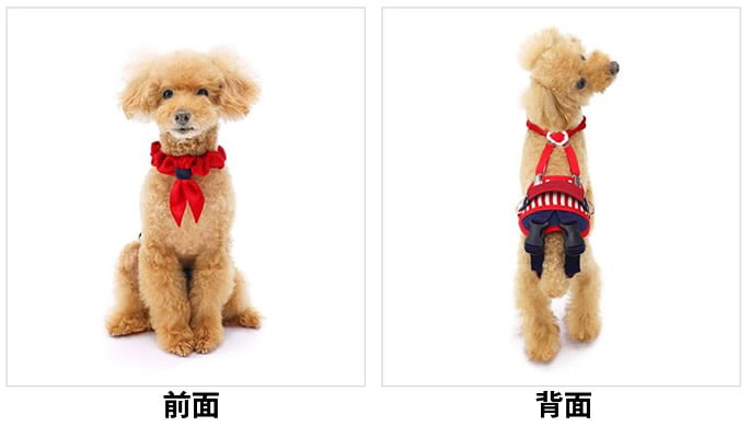 歩行補助ハーネス　LaLaWalk 小型犬・ダックス用サーポーターパッド付き　M t-lash2712.jpg