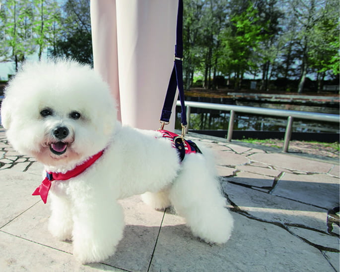 ϡͥ LaLaWalkۡɡ­ݡ