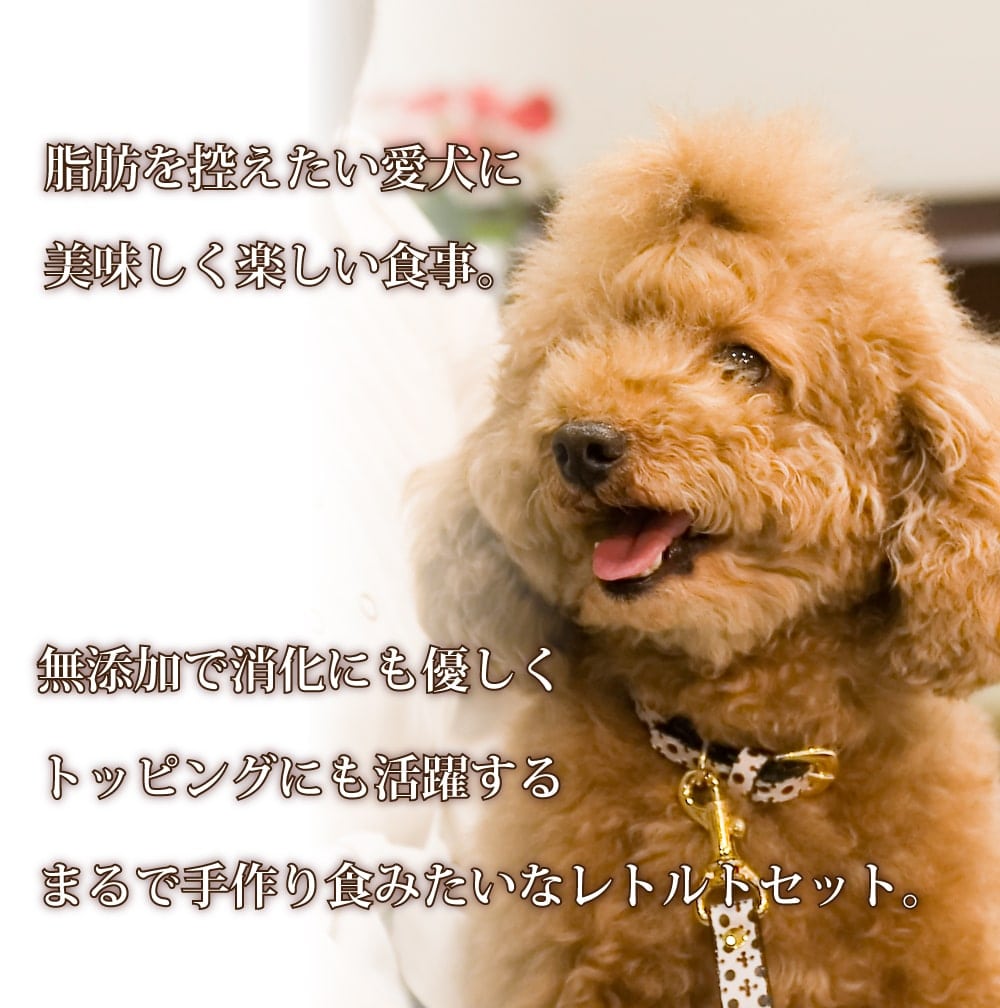 ����Ū�̥��꡼���۰����� ����äΰ¿���ȥ�ȥ��åȡ�100g��5��/������100g��30�ޥ��åȡˢ�2023ǯ3��21���ʹߺ��ΰ򤬤�Υ쥷���ѹ�