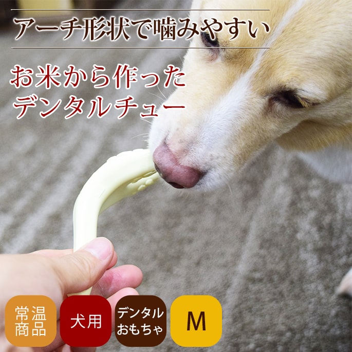 ������ �ǥ󥿥뤪����� ���Ƥ����ä��ǥ󥿥���塼 M�����������������淿��