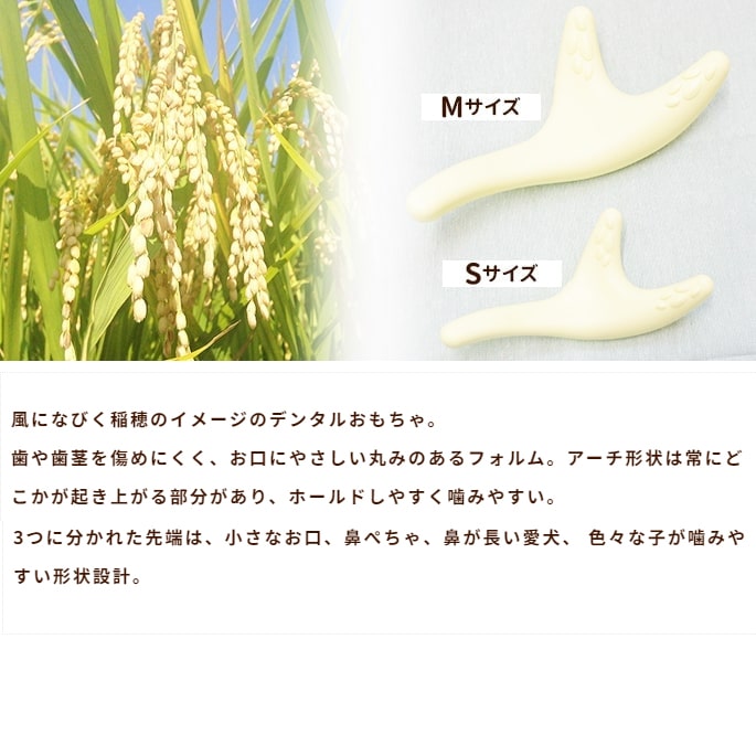 ������ �ǥ󥿥뤪����� ���Ƥ����ä��ǥ󥿥���塼 M�����������������淿��