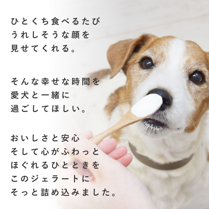 ڲƵǻ衼 å顼26ĥå ڥϥɥ࿩Ʋۡء