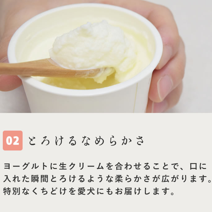 ڲƵǻ衼 å顼26ĥå ڥϥɥ࿩Ʋۡء