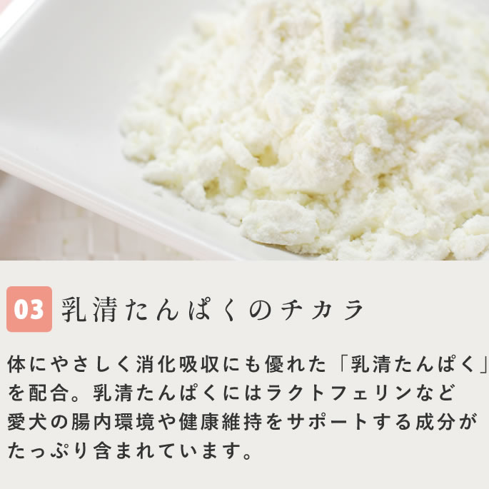 ڲƵǻ衼 å顼26ĥå ڥϥɥ࿩Ʋۡء