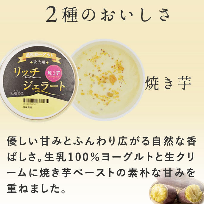ڲƵǻ衼 å顼26ĥå ڥϥɥ࿩Ʋۡء