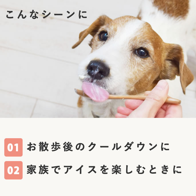 ڲƵǻ衼 å顼26ĥå ڥϥɥ࿩Ʋۡء