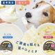 �ڲƵ������ǻ���衼����� ��å������顼��2��6�ĥ��å� �ڥϥ���ɥ��࿩Ʋ�ۡ������ء�