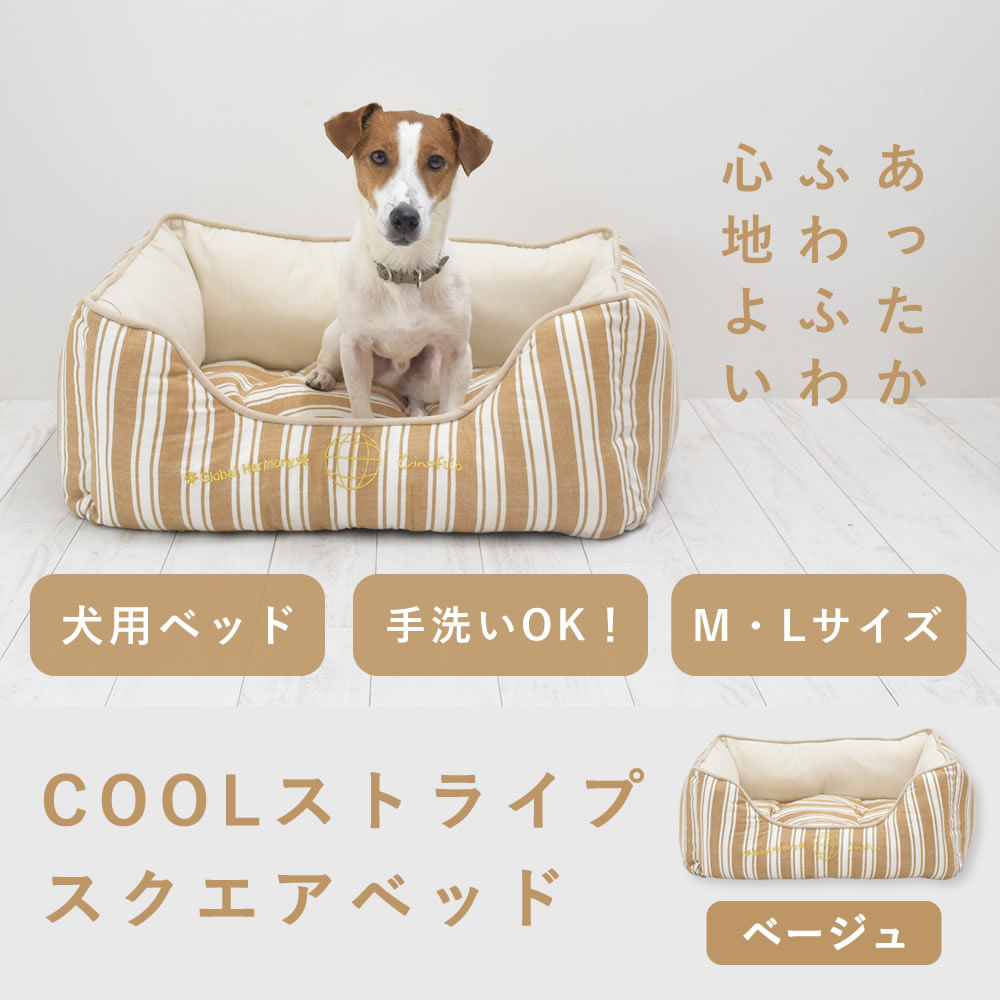 �� ���ѥ٥å� COOL���ȥ饤�ץ��������٥å� M/L������ �١����� �ڥ��Υե����۽ղ���