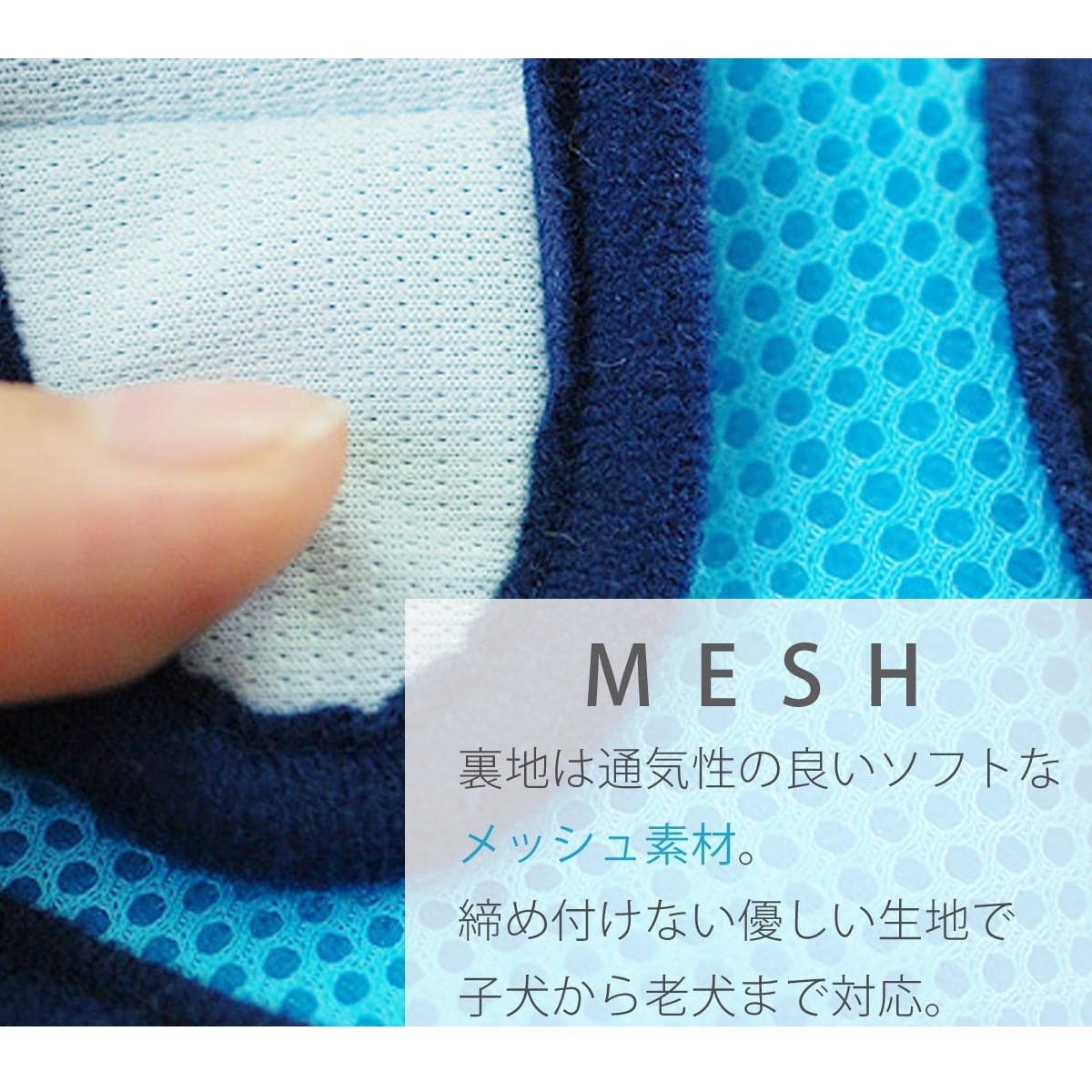 ���ѥϡ��ͥ�����������ASHU��������󥰥������ϡ��ͥ���M�������ڥ꡼�ɤ�������