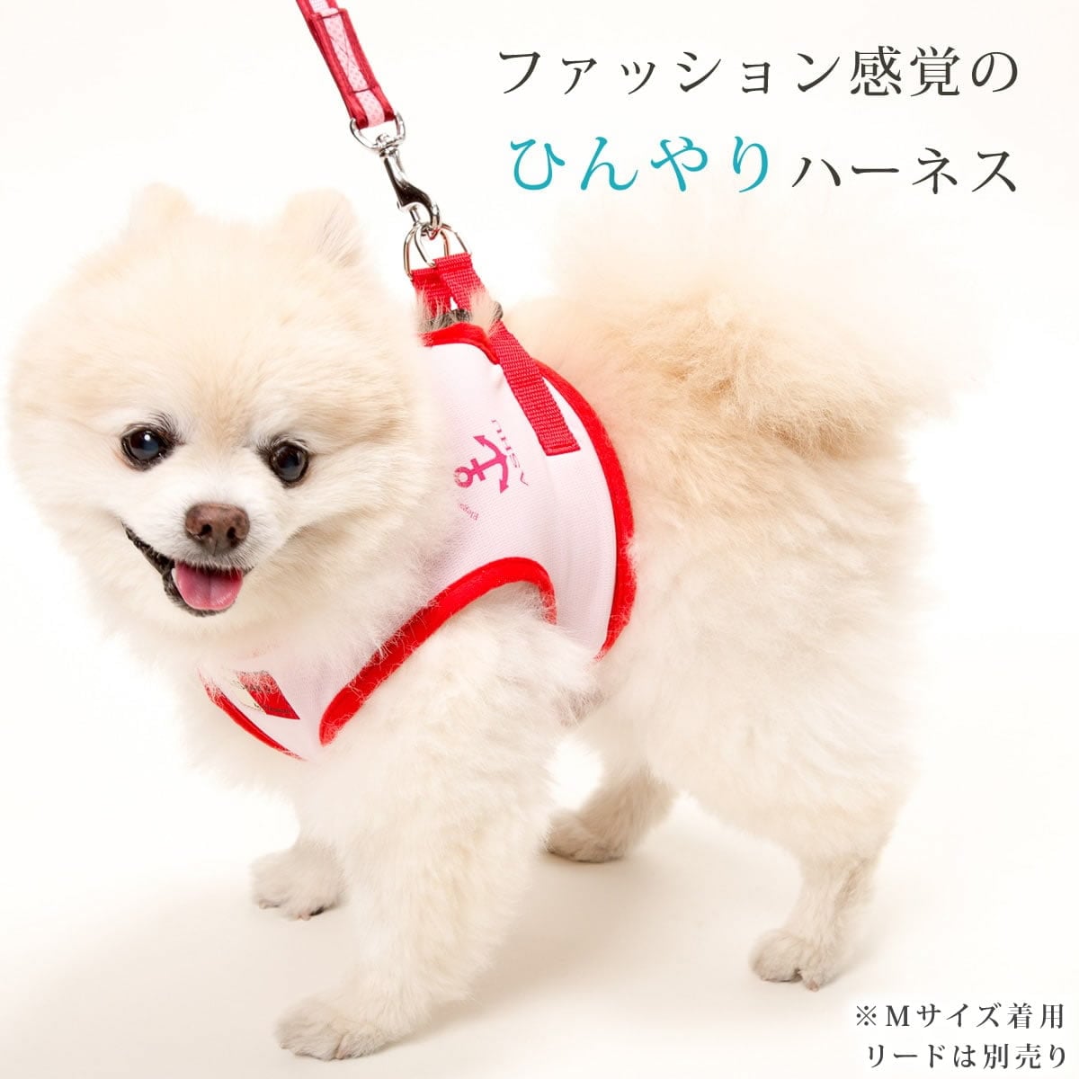 ���ѥϡ��ͥ�����������ASHU��������󥰥������ϡ��ͥ���M�������ڥ꡼�ɤ�������