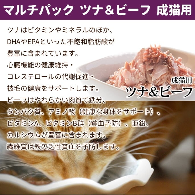 【60缶・即納】Schesir シシア ツナ＆ビーフフィレ キャットフード 発売記念10％OFF】シシア キャット ゼリータイプ ツナwithビーフ 85g缶