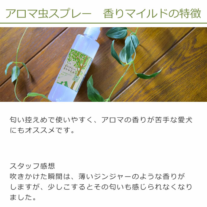 ������ץ졼�å�������ץ졼�����ޥ����