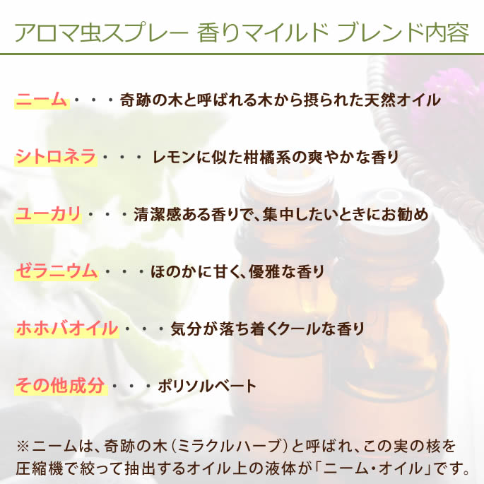 ������ץ졼�å�������ץ졼�����ޥ����