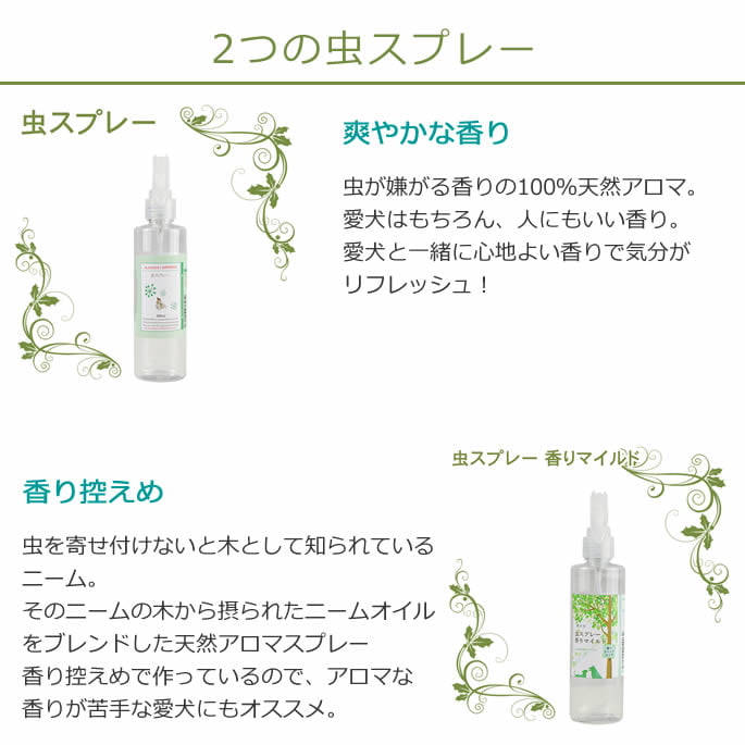 ������ץ졼�å�������ץ졼�����ޥ����