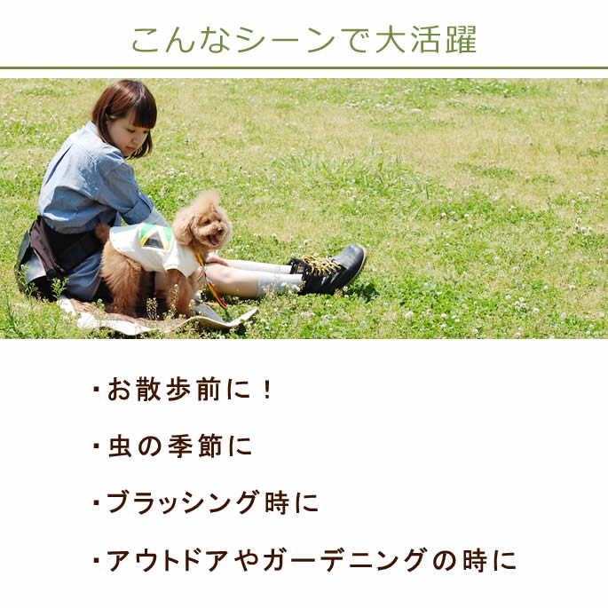 ������ץ졼�å�������ץ졼�����ޥ����