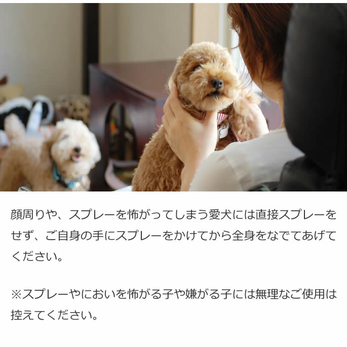 ������ץ졼�å�������ץ졼�����ޥ����