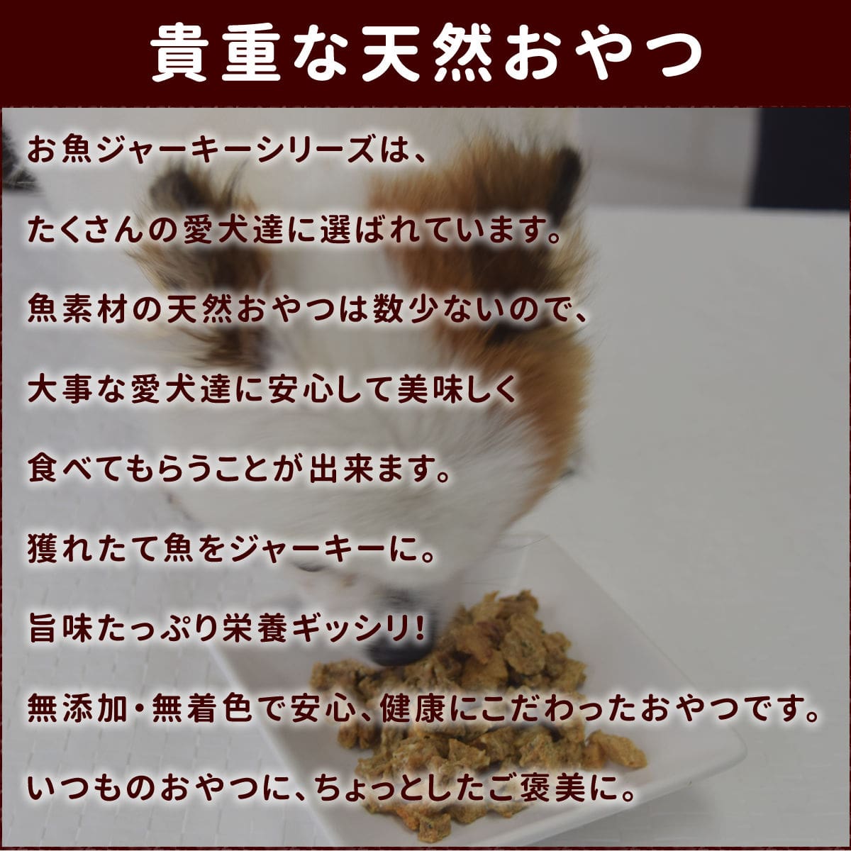 ��ǭ�Ѥ���ġ�̵ź�óͤ줿�� ���㤱�����������ơ��� ���Τ���� �� 5�ޥ��å� �� ����ǭ����