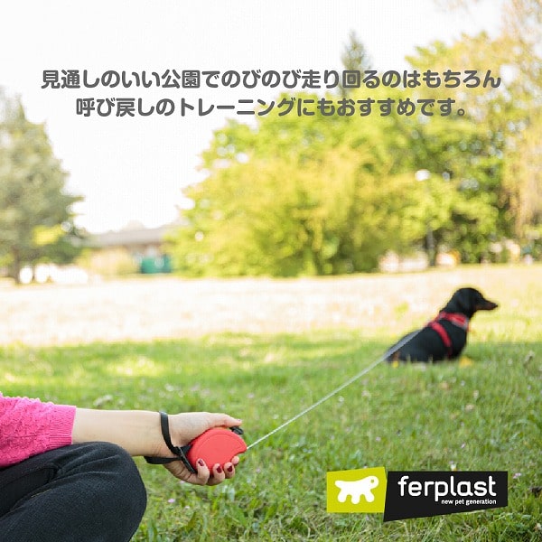 ̥꡼ɡä󤻾ʡåեåԡ󡡥ߥˡɥס3Ŭν8kgޤ