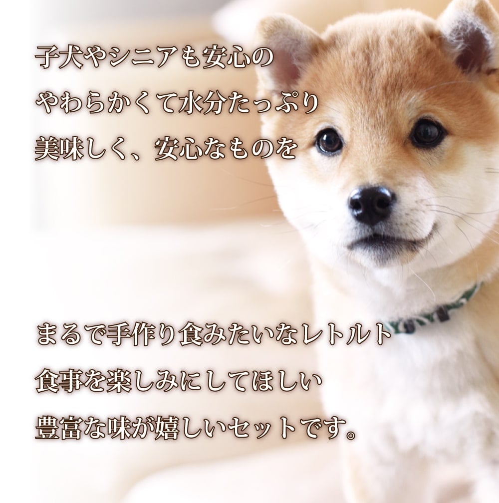 Ū̥꡼۰ 餫¿ȥȥåȡ100g5/100g30ޥåȡ