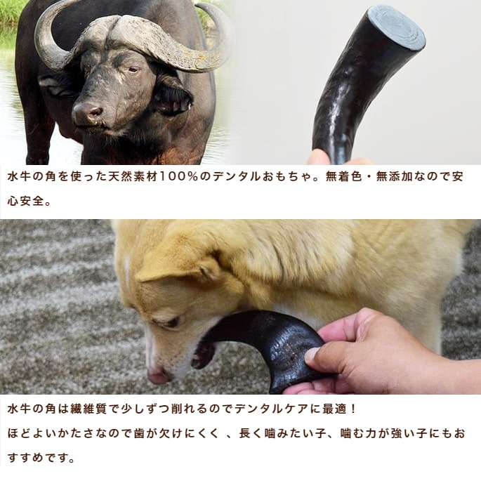 ハンドメイド】水牛の角製 バイキングホーン