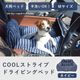 �� ���ѥ٥å� COOL���ȥ饤�ץɥ饤�ӥ󥰥٥å� M������ �ͥ��ӡ� �ڥ��Υե�����