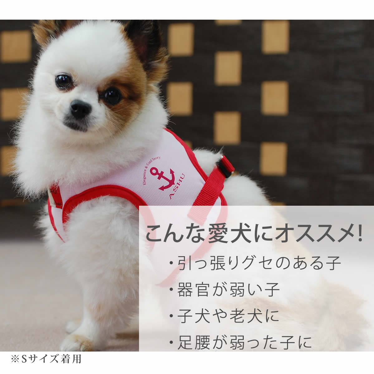 SHU Ｉcanシリーズ犬 純金(K24)製 『柴犬』ミニチュアオブジェ ALPBK115 | 山梨県