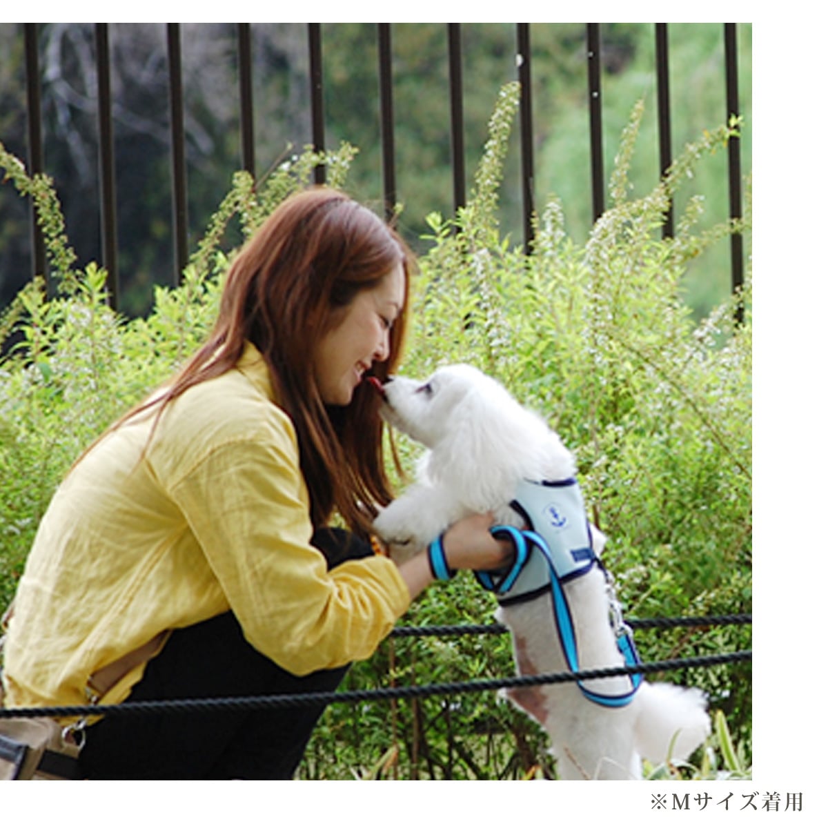 ���ѥϡ��ͥ��������淿����ASHU��������󥰥������ϡ��ͥ���L�������ڥ꡼�ɤ�������