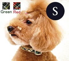 �������Ѽ��ء�ASHU���ȥ�åɡ����顼��S��������GR