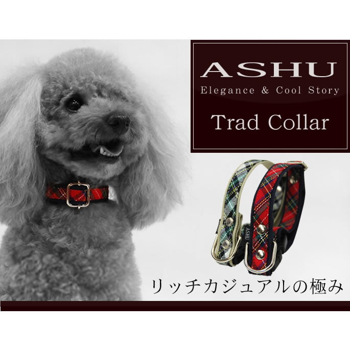 �������Ѽ��ء�ASHU���ȥ�åɡ����顼��S��������GR