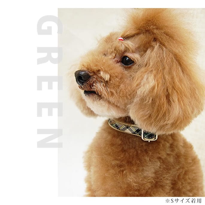 小型犬用首輪｜ASHU トラッド カラー Sサイズ｜ドックフードの通販