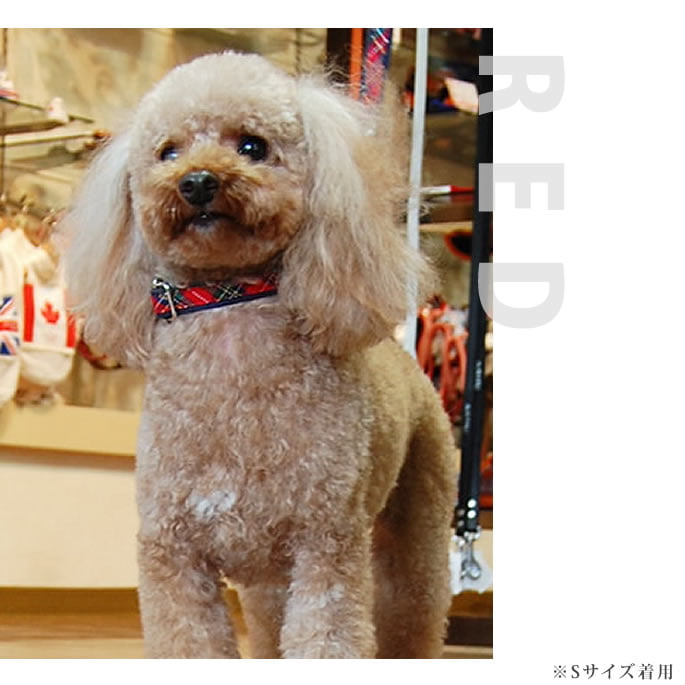 �������Ѽ��ء�ASHU���ȥ�åɡ����顼��S��������GR