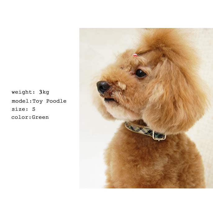 �������Ѽ��ء�ASHU���ȥ�åɡ����顼��S��������GR