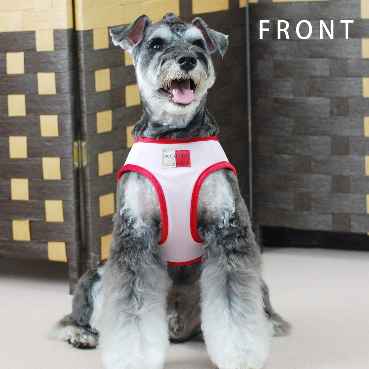 ���ѥϡ��ͥ��������淿����ASHU��������󥰥������ϡ��ͥ���L�������ڥ꡼�ɤ�������