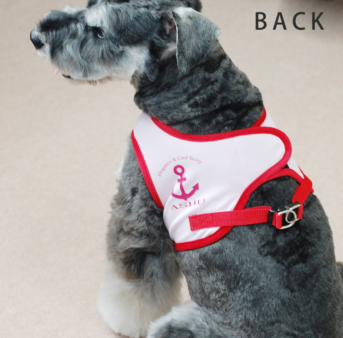 中湯川人形　犬　4点 楽天市場】ケーセン Koesen ぬいぐるみ チワワ CHIHUAHUA