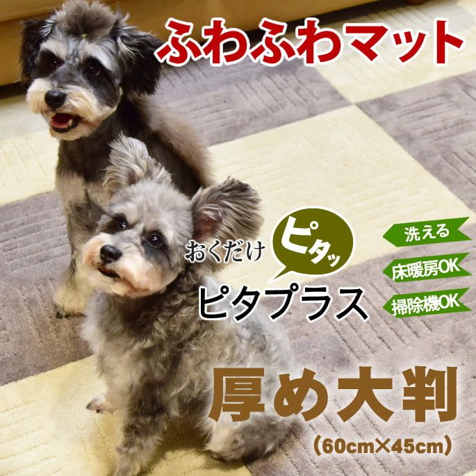 �դ�դ�����륫���ڥåȡ��ԥ��ץ饹��60��45cm����1��/2�硿12�硿36��