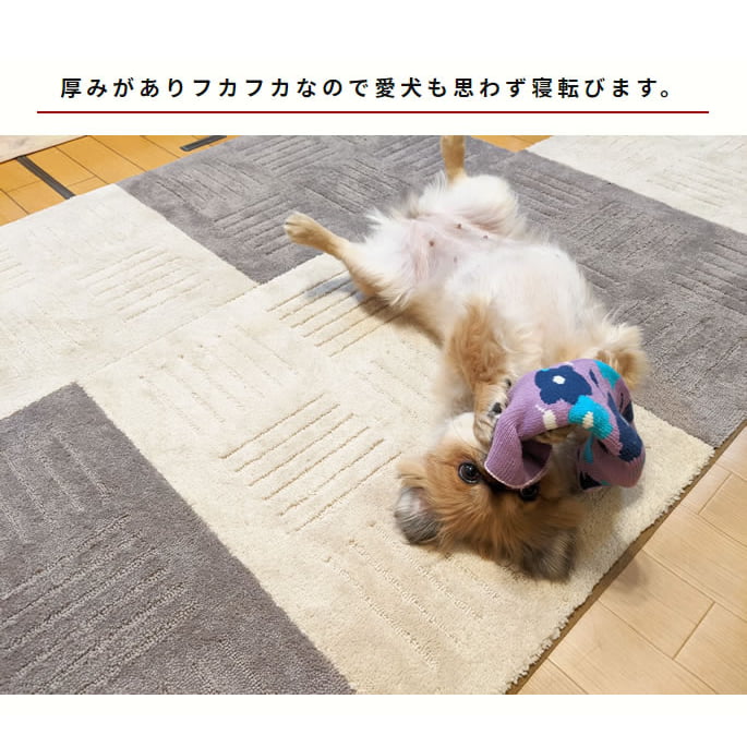 �դ�դ�����륫���ڥåȡ��ԥ��ץ饹��60��45cm����1��/2�硿12�硿36��