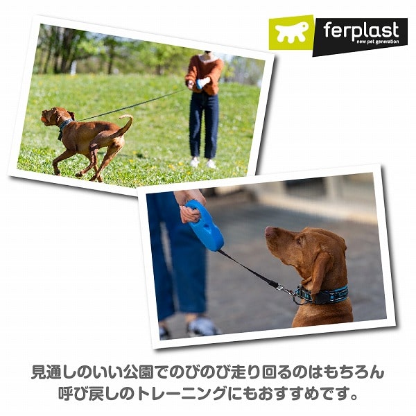 ̥꡼ɡä󤻾ʡåեåԡSɥס4.5Ŭν12kgޤ