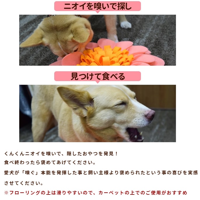 犬用おもちゃ ノーズワークマット