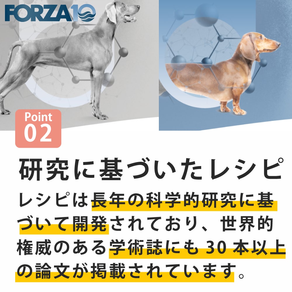 犬 FORZA10療法食｜犬用 デルモアクティブ(皮膚ケア) 250g / 1.5