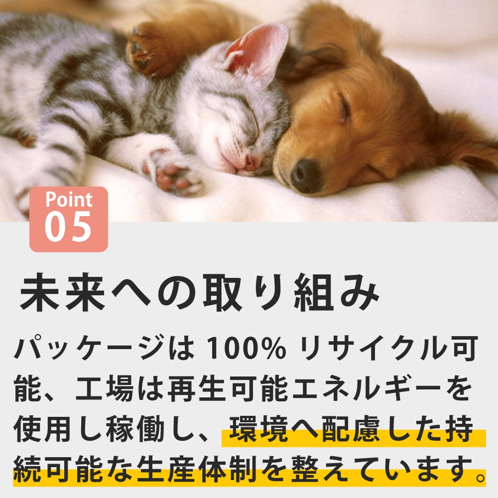 犬 FORZA10療法食｜犬用 デルモアクティブ(皮膚ケア) 250g / 1.5