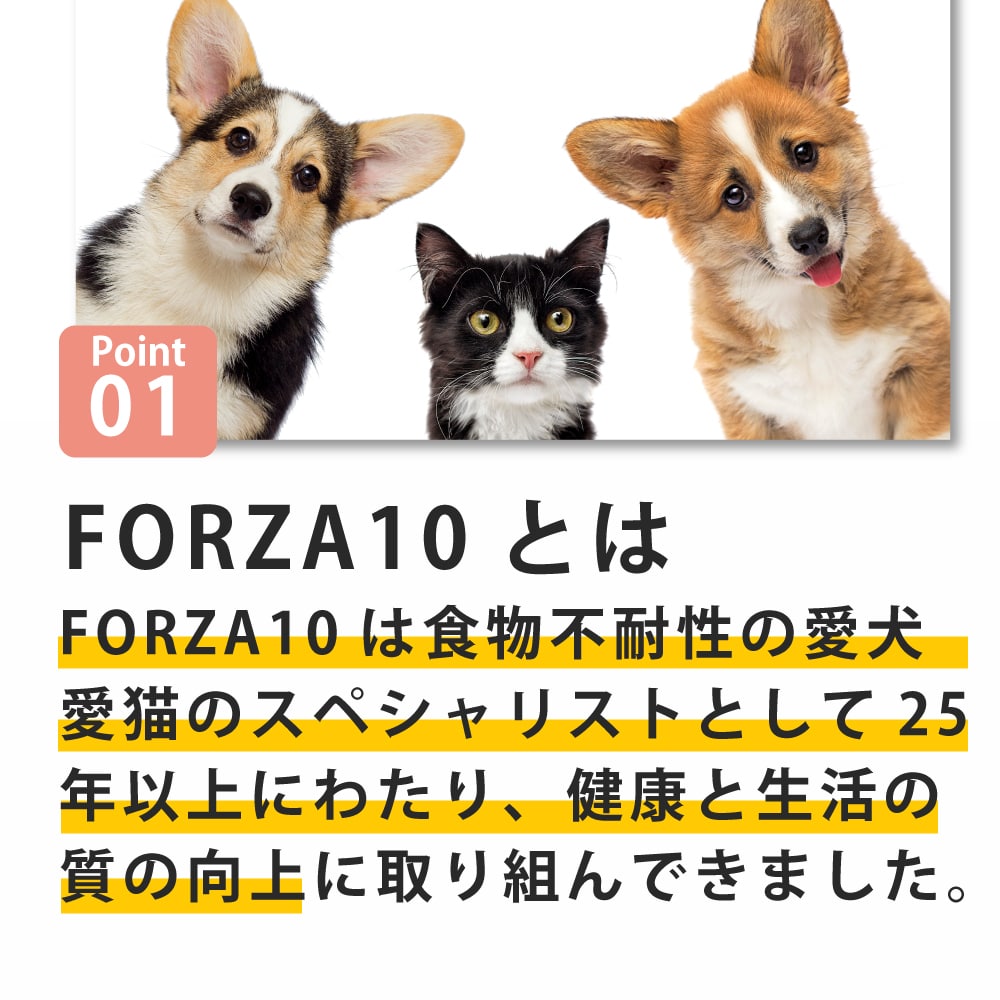 FORZA10 デルモアクティブ10kg デルモアクティブ ドッグフード｜皮膚・被毛の健康維持のための