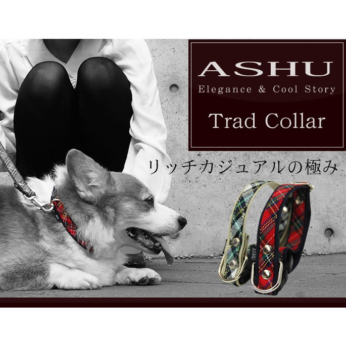 �淿���Ѽ��ء�ASHU���ȥ�åɡ����顼��M������