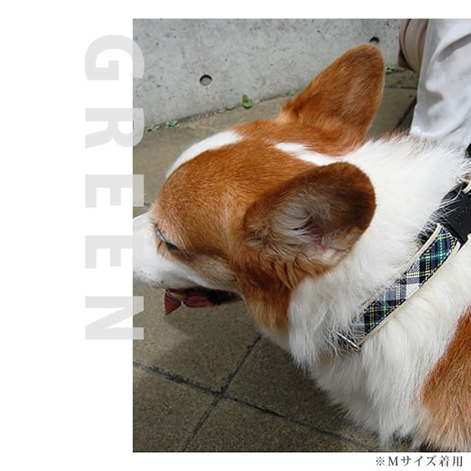 �淿���Ѽ��ء�ASHU���ȥ�åɡ����顼��M������