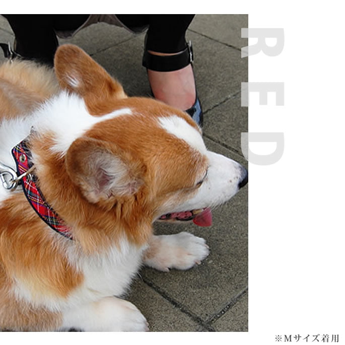 �淿���Ѽ��ء�ASHU���ȥ�åɡ����顼��M������